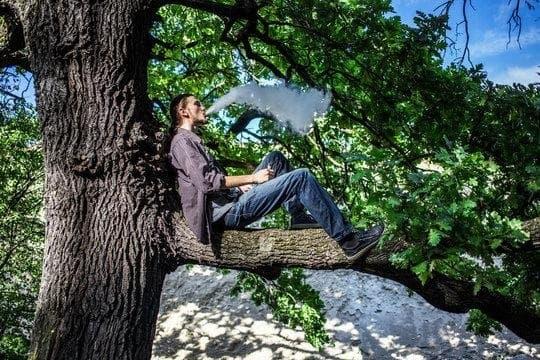 xem bong da truc tiep, e-shisha oder zigarette was ist schädlicher – aktueller Vergleich zu Risiken und praktischen Tipps
