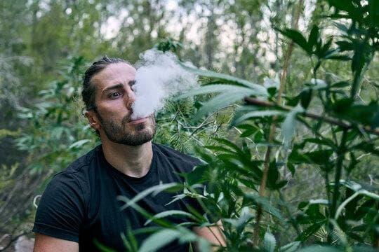 Entdecken Sie die besten IBVAPE e-zigaretten aromen für maximalen Genuss bei IBVAPE e-zigaretten aromen Fans